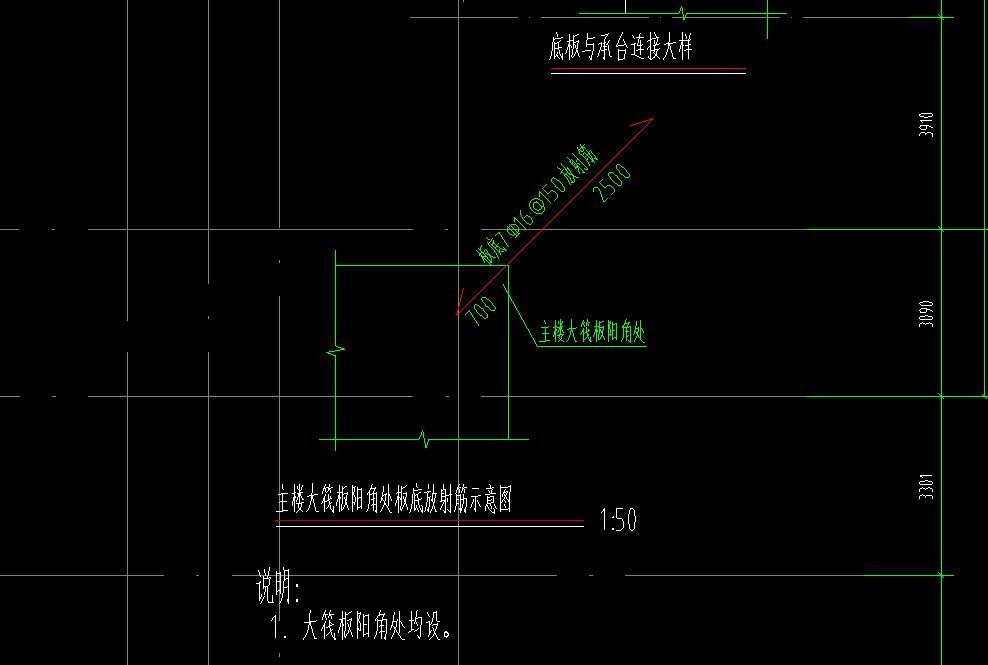 放射筋