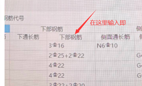 钢筋啥意思