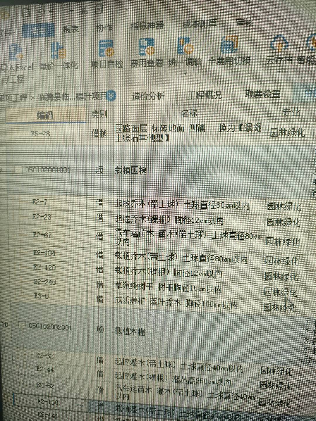 国槐