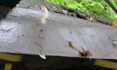 抹灰