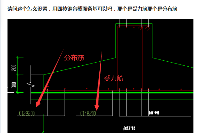 分布筋