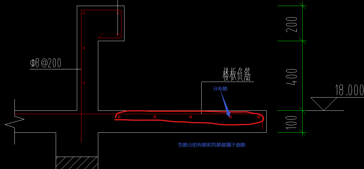 分布筋