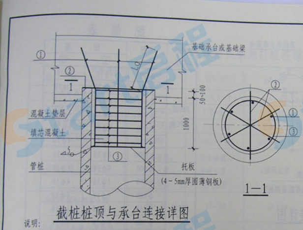 桩顶