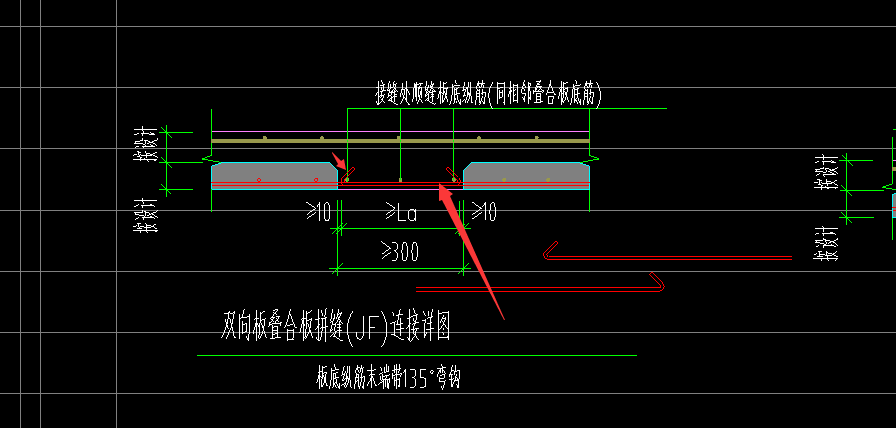 分布筋