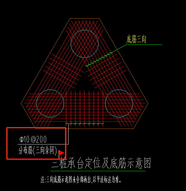 分布筋