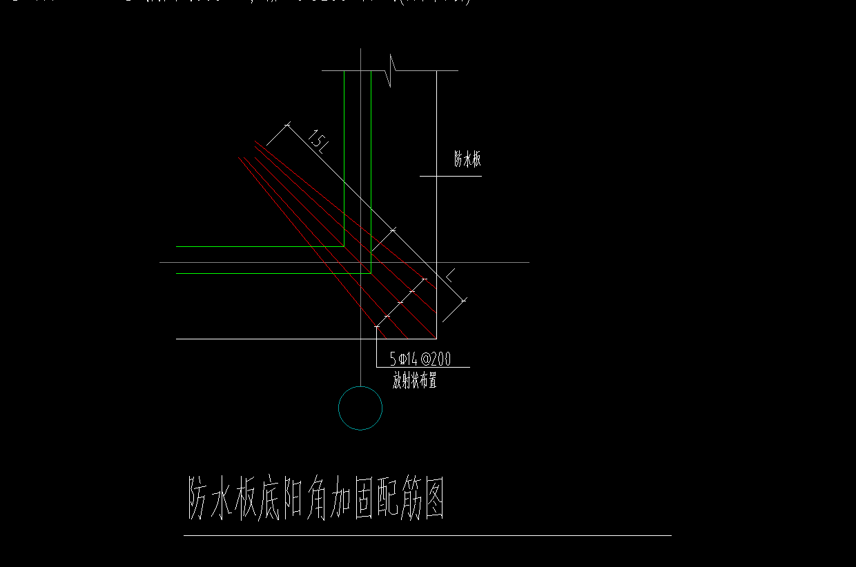 放射筋