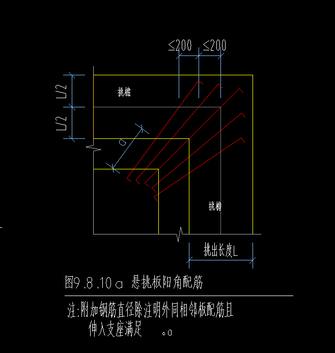 放射筋
