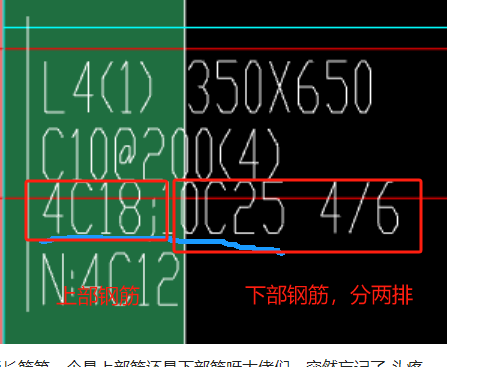 通长筋