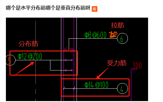 分布筋