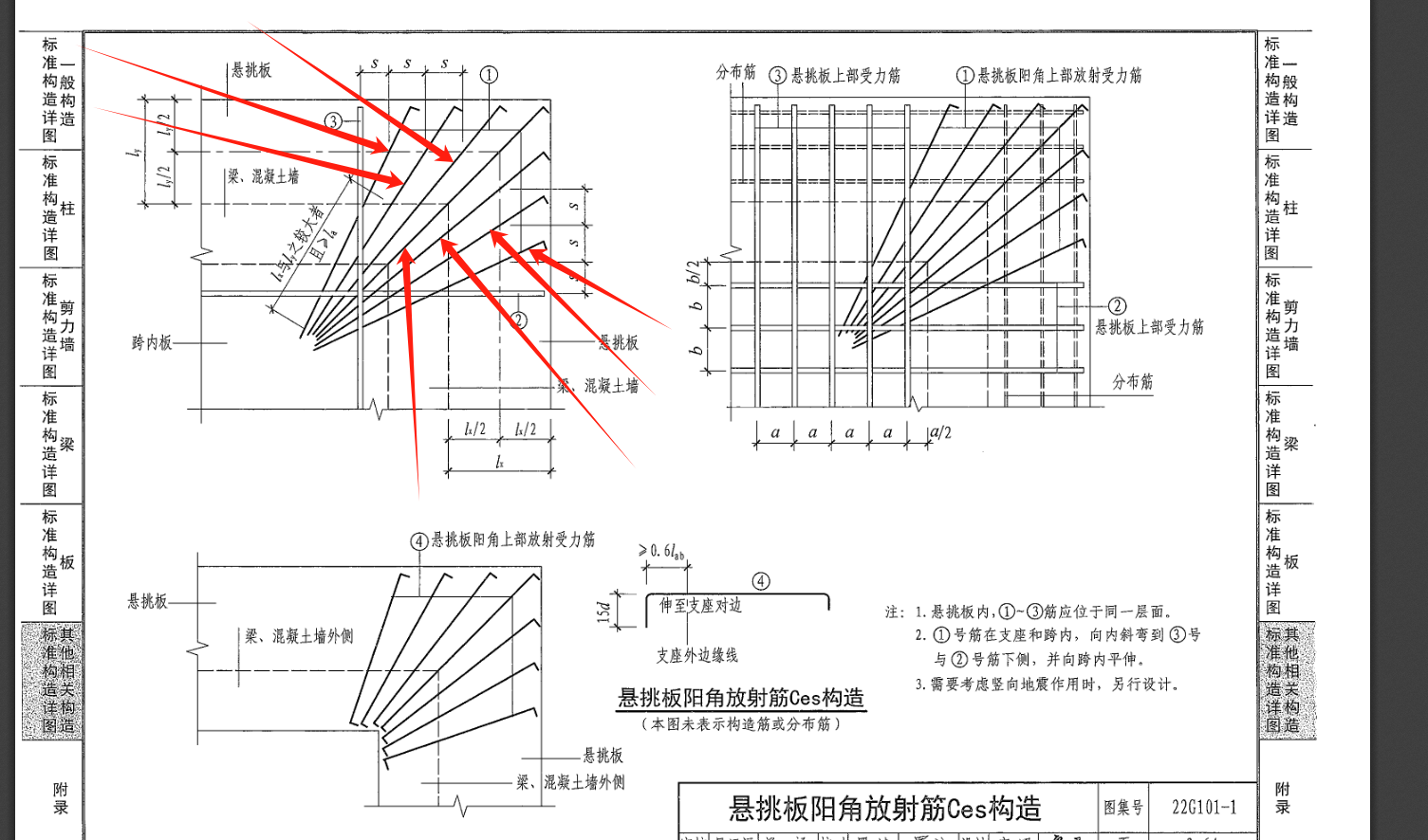 放射筋