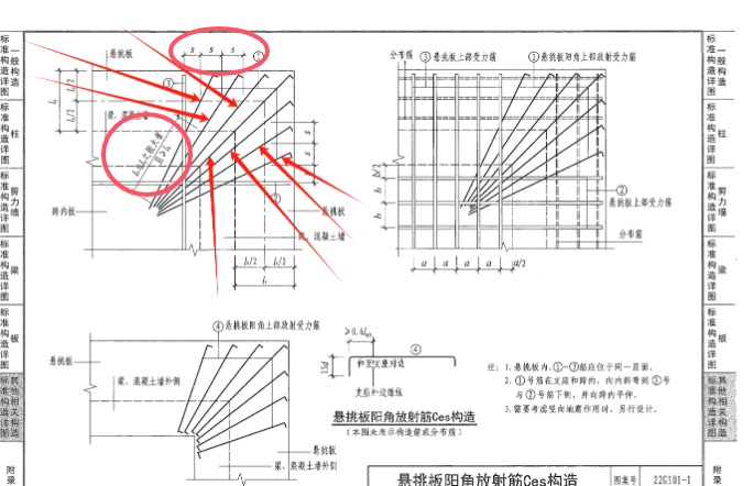 分布筋