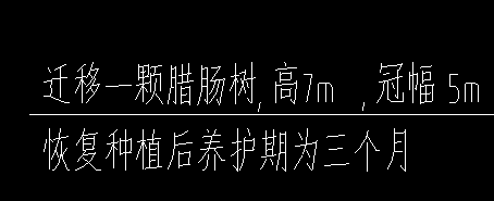乔木