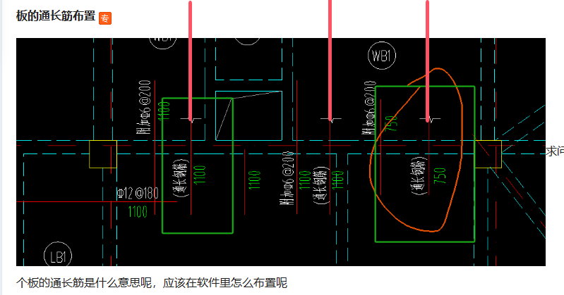 通长筋