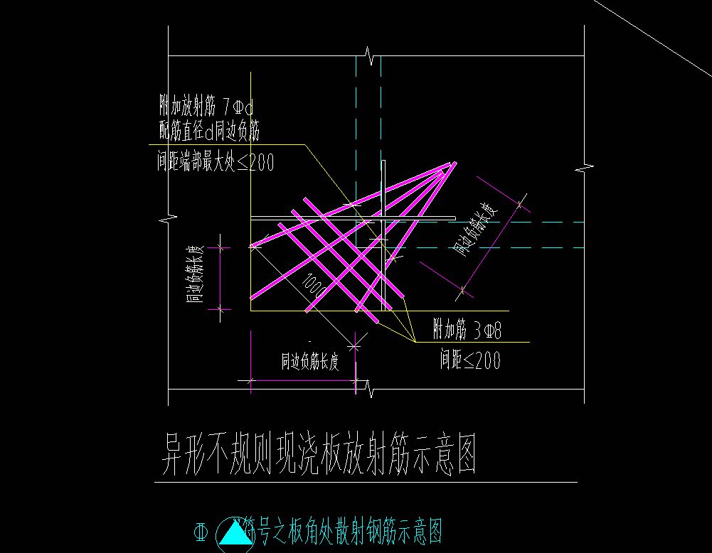 的放射筋