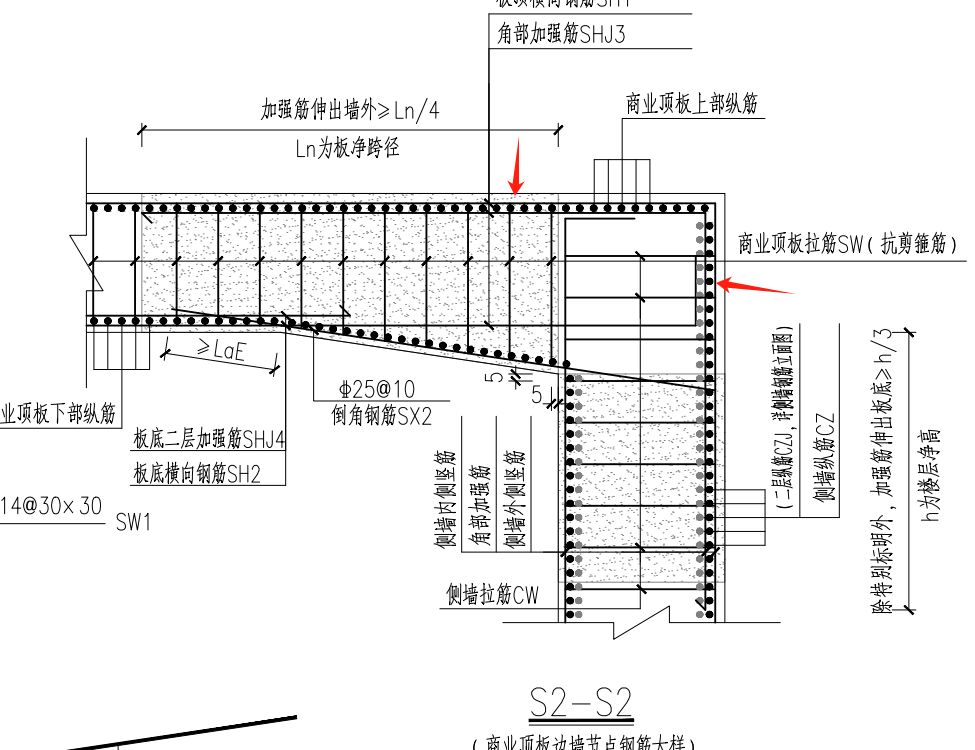 直筋