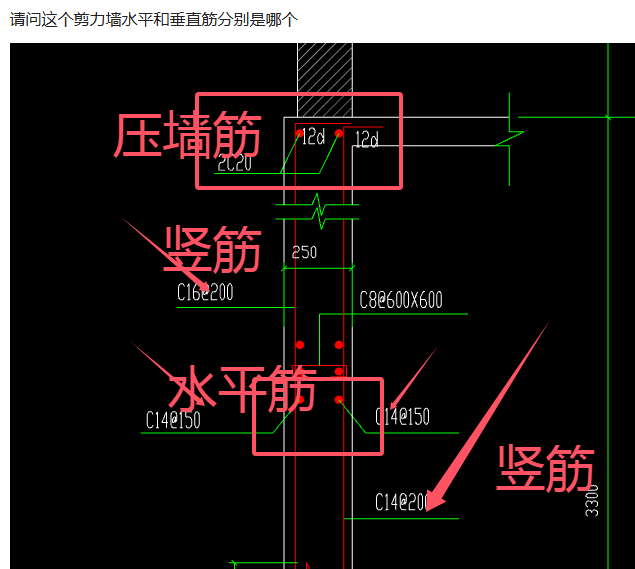 垂直筋