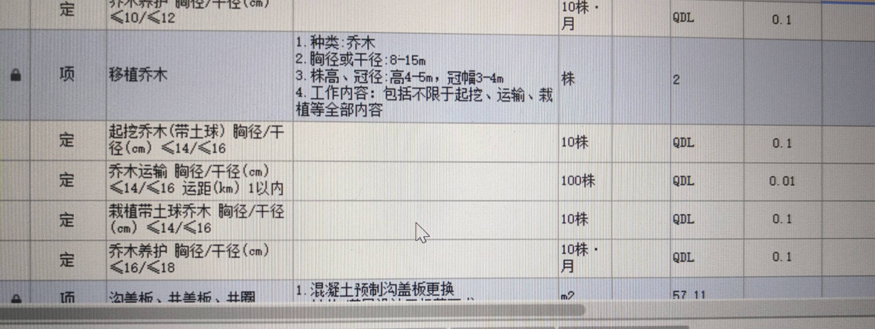 乔木