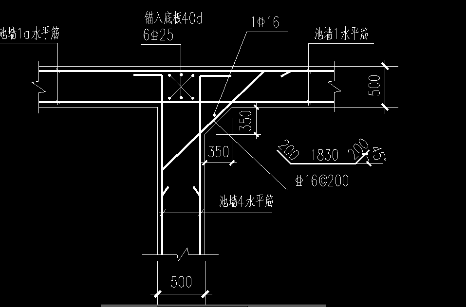 锚
