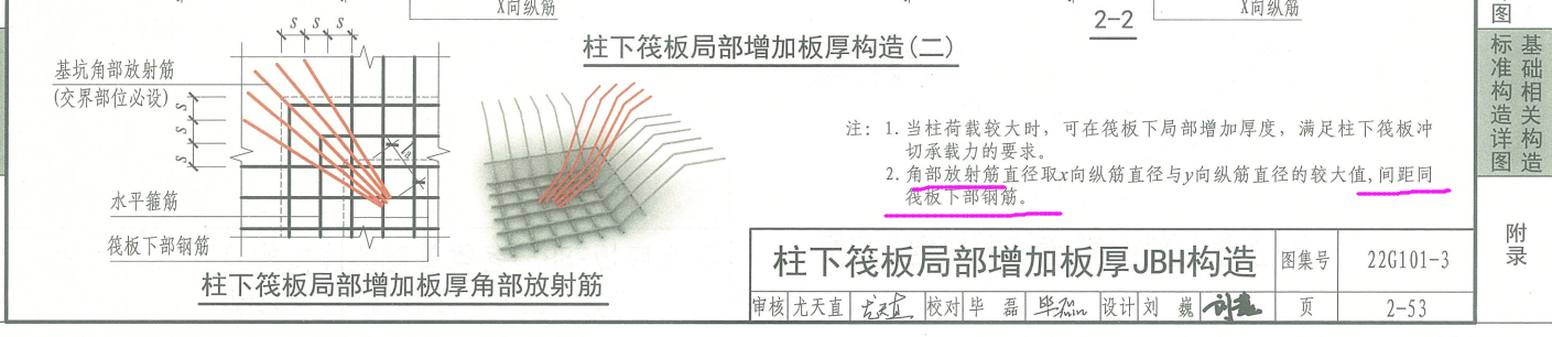 放射筋