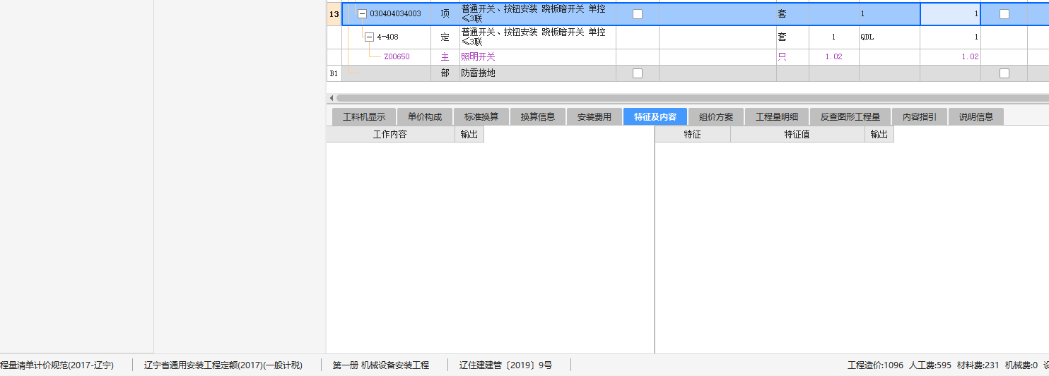 项目特征