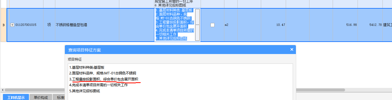 项目特征