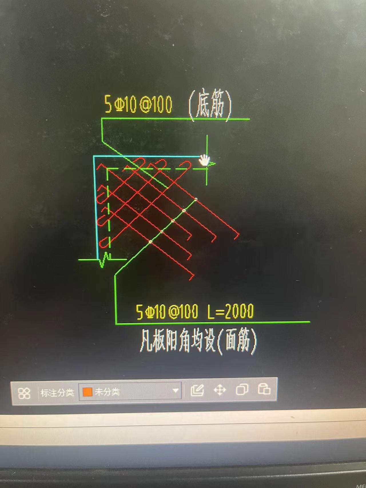 的放射筋