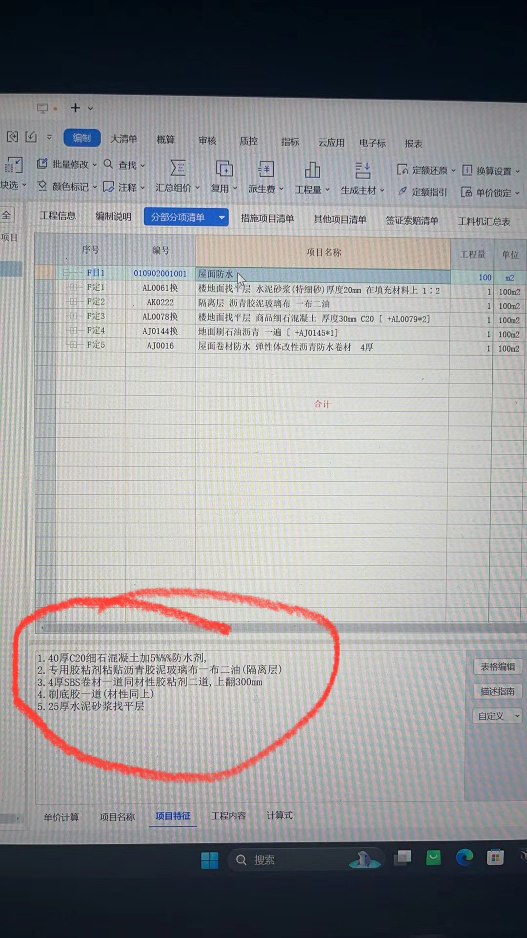 项目特征