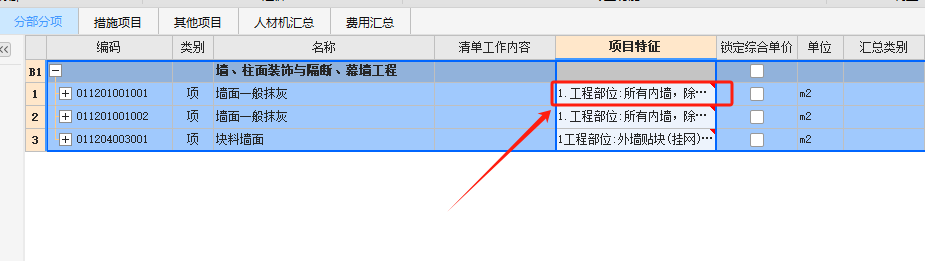 项目特征