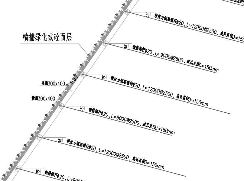 锚