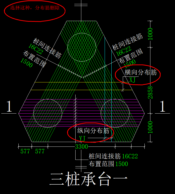 分布筋