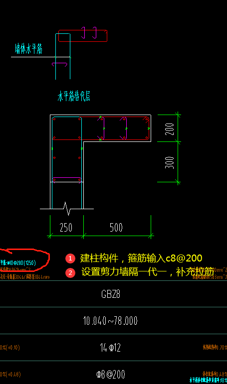 分布筋