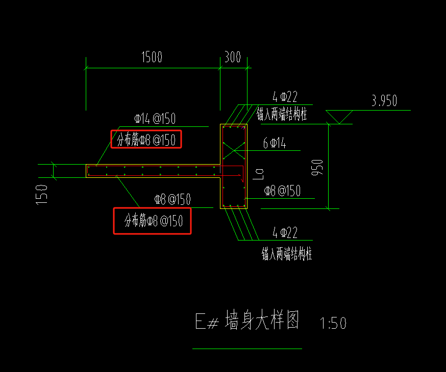 分布筋