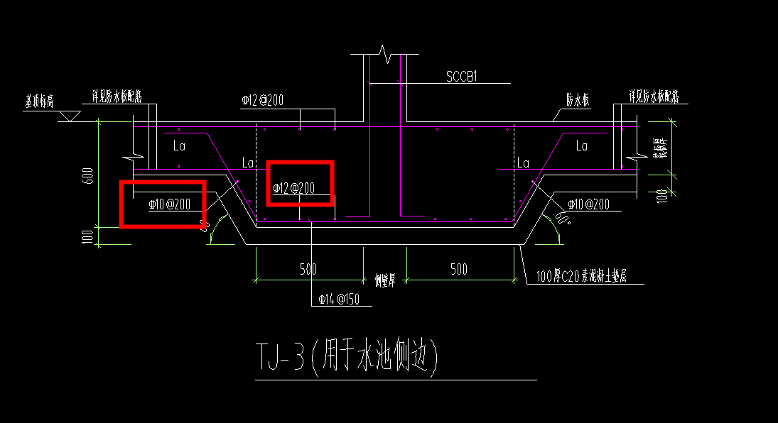 条基