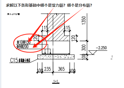 分布筋