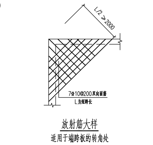 的放射筋