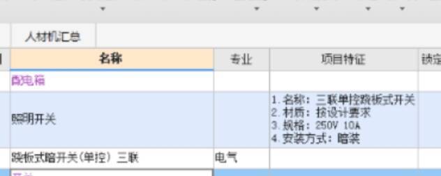 这个项目