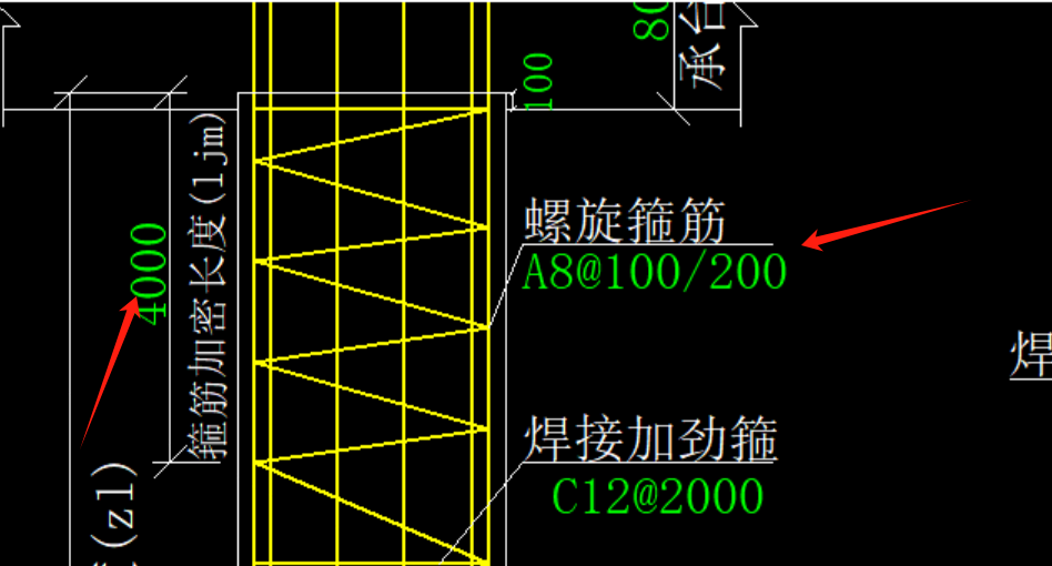 桩钢筋