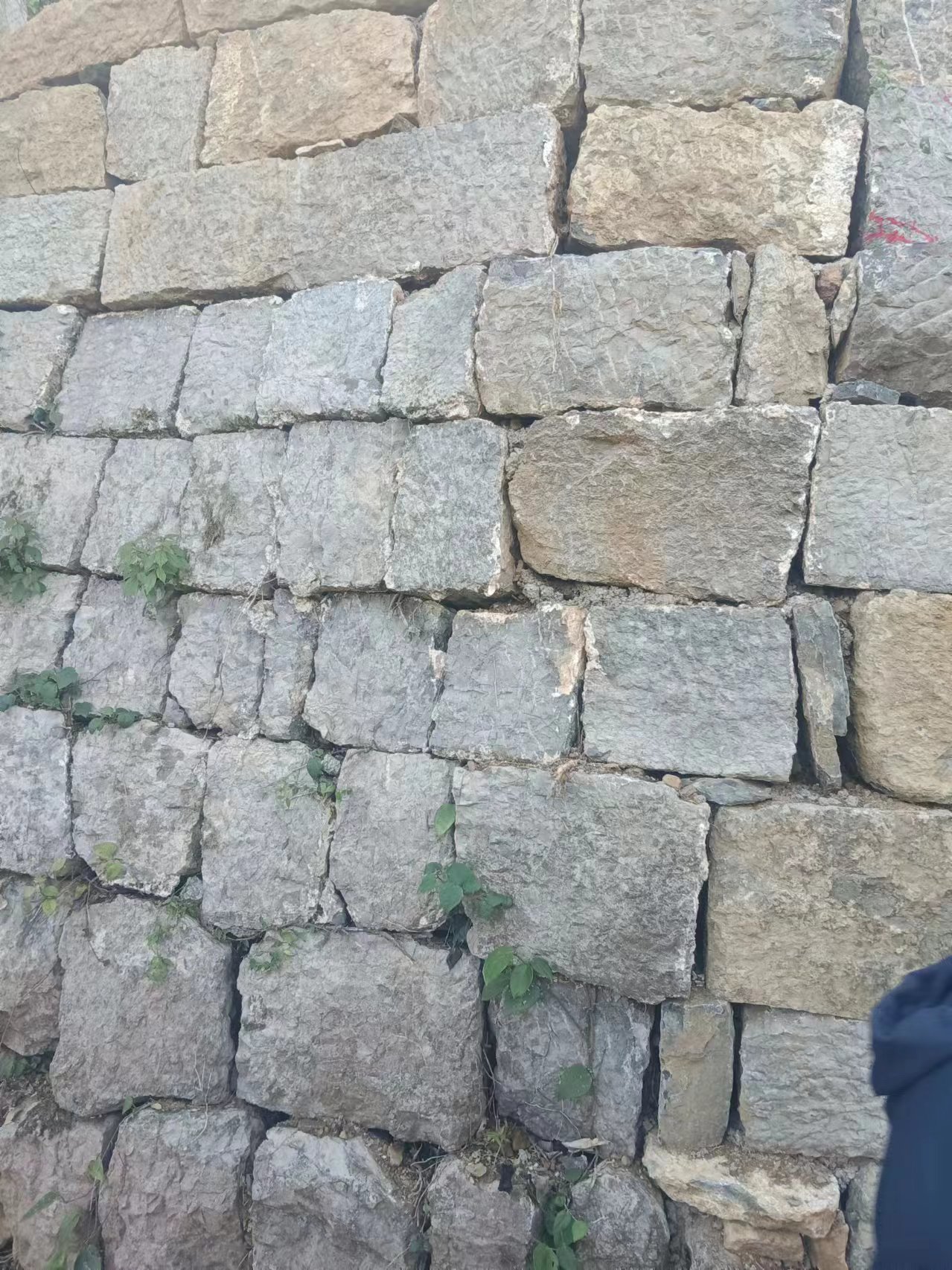 套什么定额