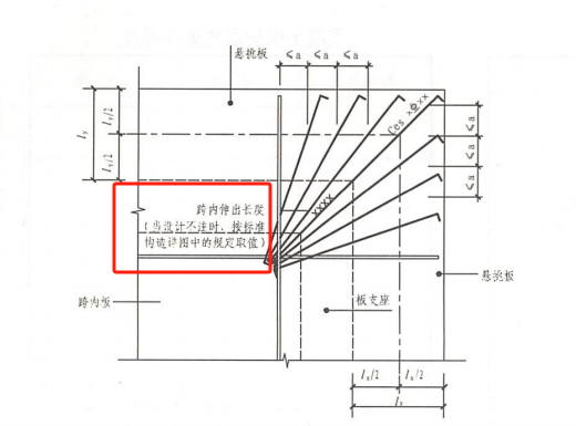 放射筋长度