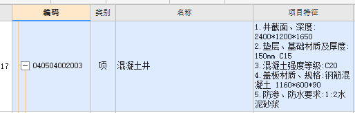 项目特征