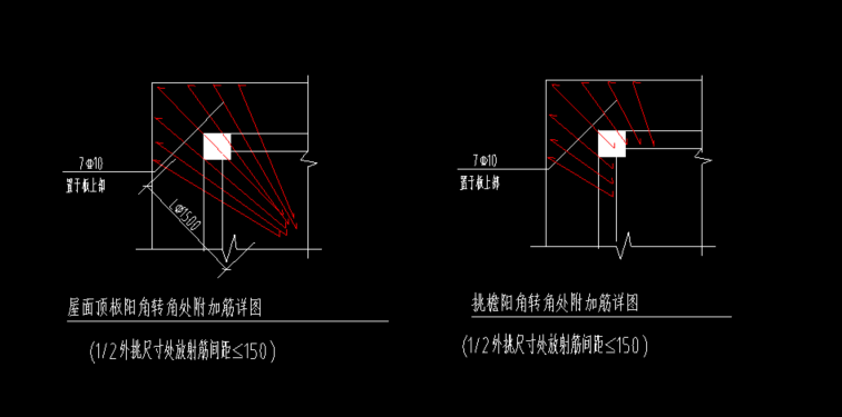 放射筋