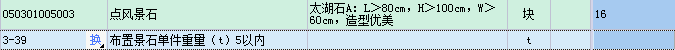 项目特征