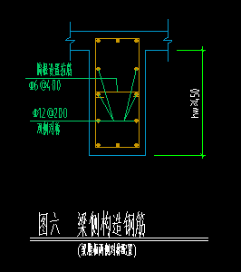 腹板