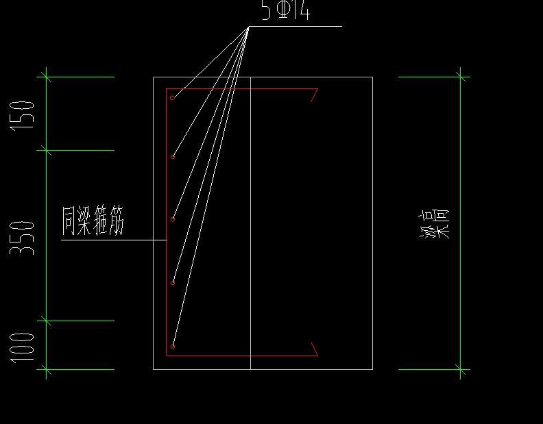 直筋