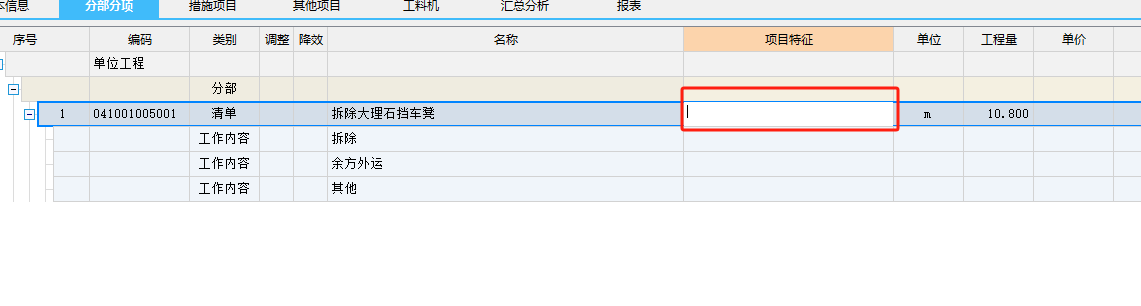 项目特征