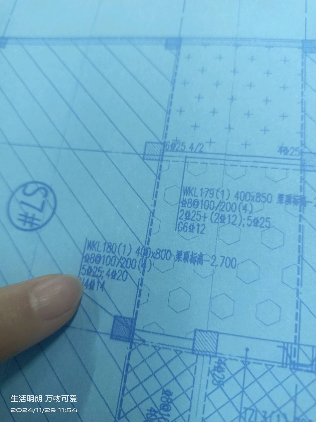 编号什么