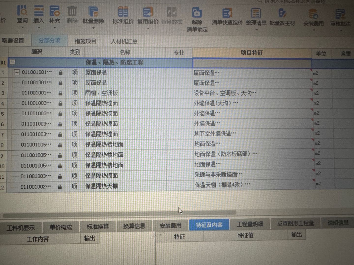 项目特征