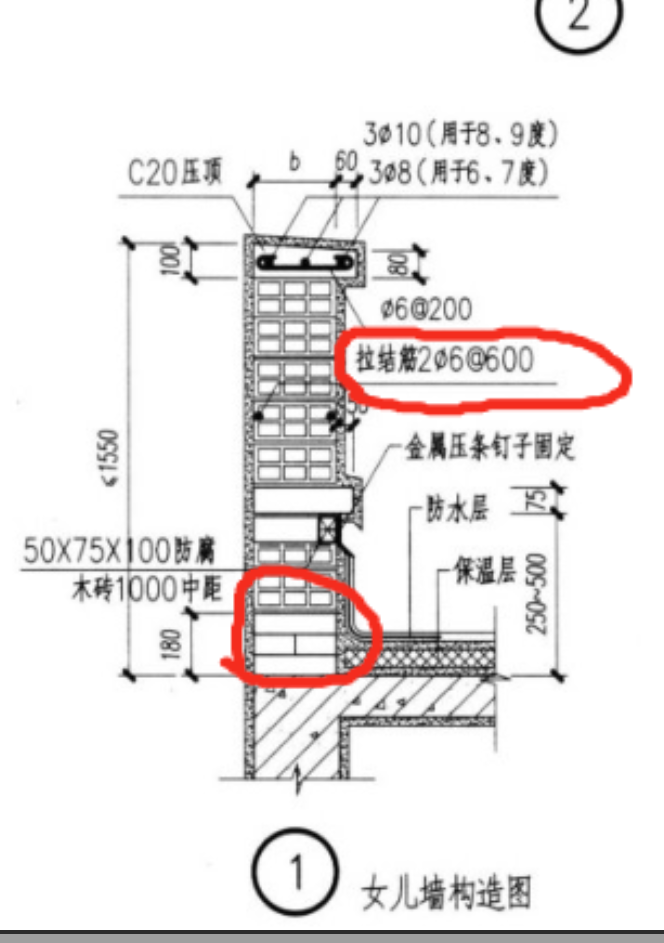 分布筋