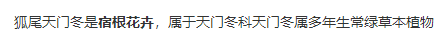 套什么定额