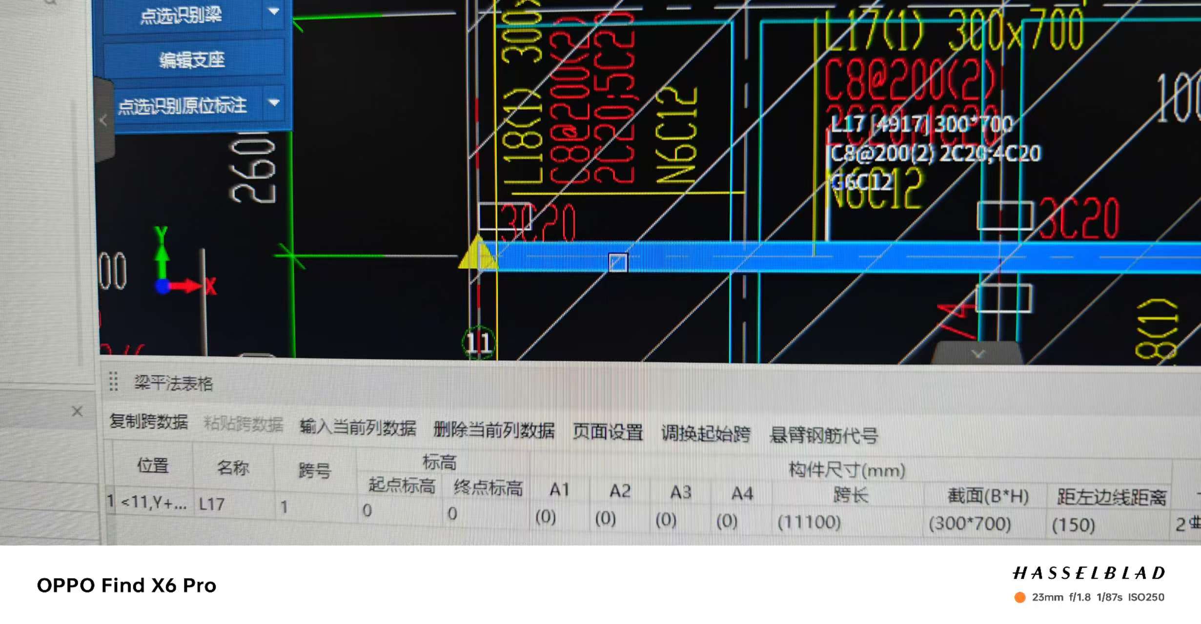 原位标注